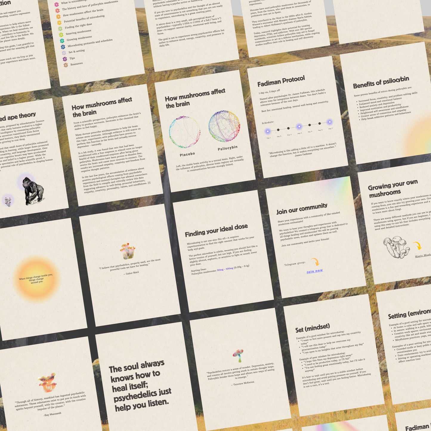 Microdosing Guidebook