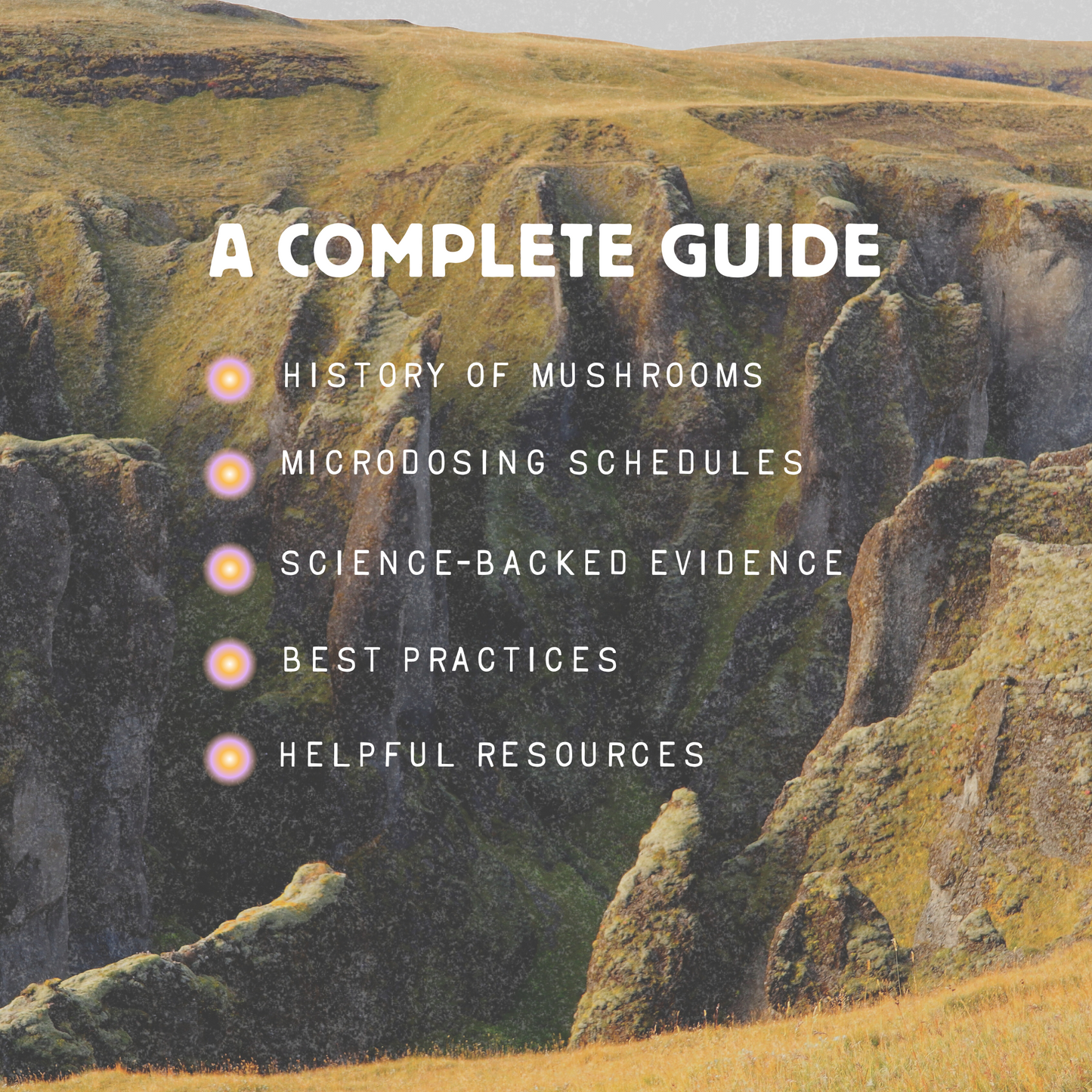 Microdosing Guidebook