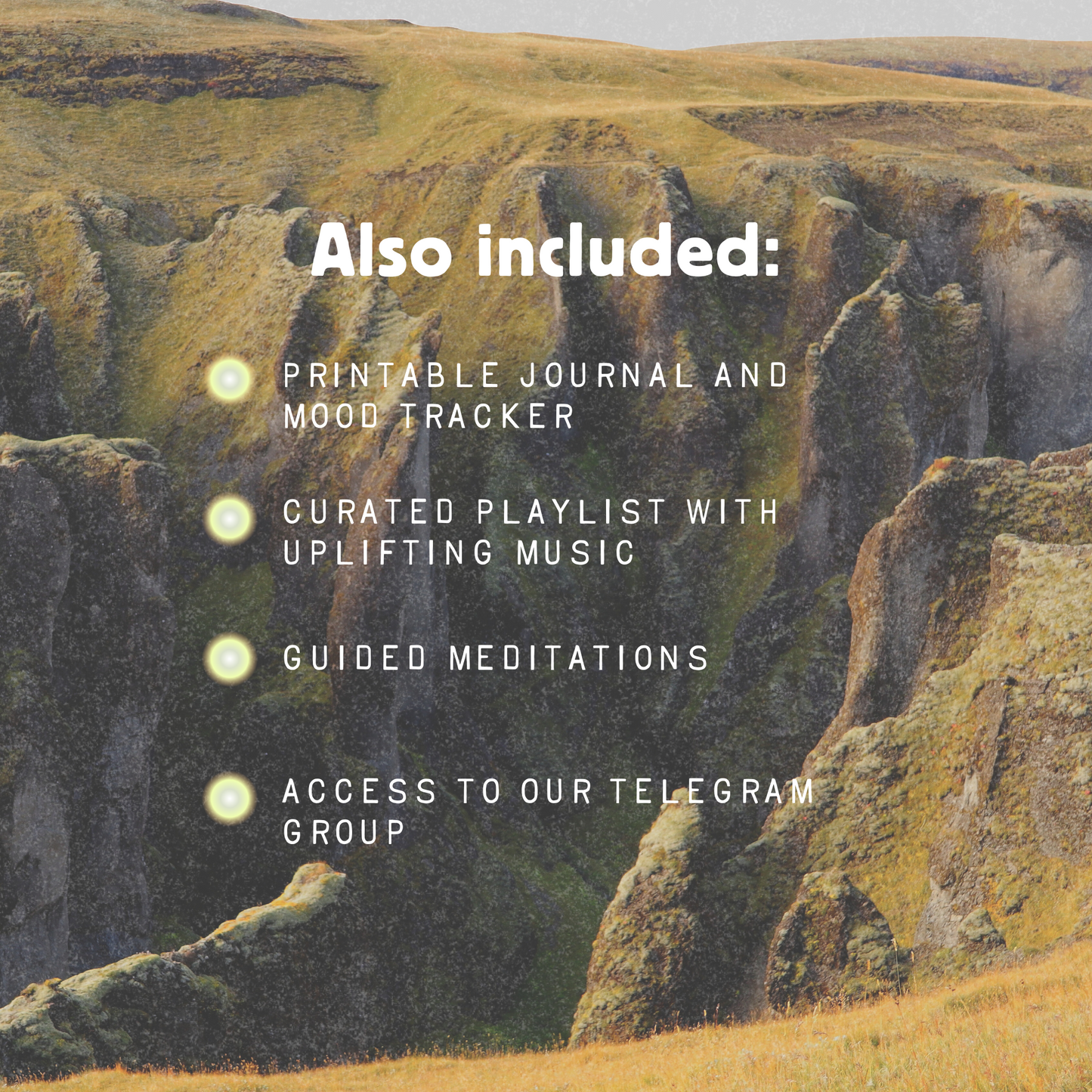 Microdosing Guidebook